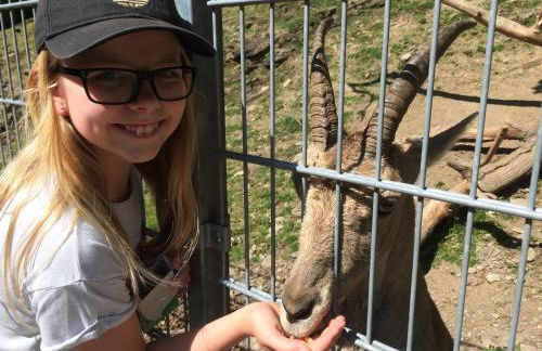 Weingut Schumacher - mit privatem Saunabereich - Foto 44