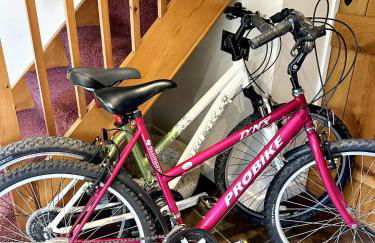 Wren Cottage North Norfolk - Foto 12