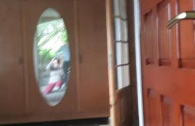 Miodowy Kociołek - Foto 12