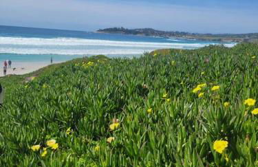 Goarges Tiny Home! - Foto 29