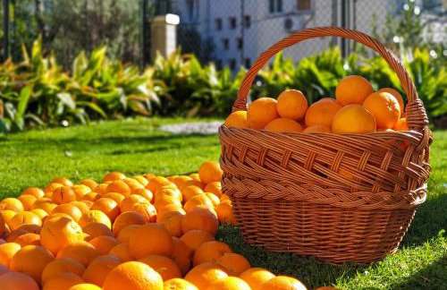 Ambience Dubrovnik - Photo 34