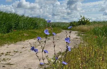 Ferienwohnung Krull - Foto 6