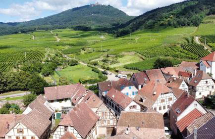 Les appartements au pied du Haut Koenigsbourg - Foto 37