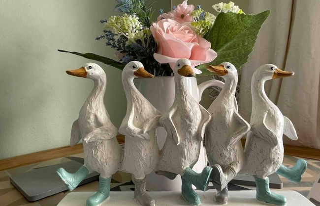 Lancaster 1 bed Cottage Apartment- M6 - Lancs Uni - Photo 11