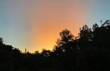 Recanto da Floresta - Casa de campo em Secretário - Foto 13