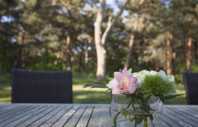 Ferienwohnungen Fischland - Foto 56