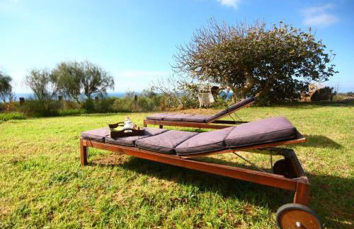 El Abejaruco - Foto 9