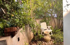 Garden Suite - Foto 68