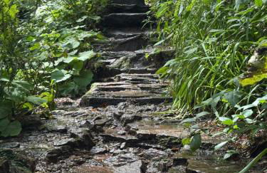 Panorama-Suite mit Kamin & Balkon, Ruhe, Weitblick & Natur im Schwarzwald - Foto 10