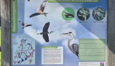 LandOase Buchhorst - Foto 3