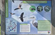 LandOase Buchhorst - Photo 3