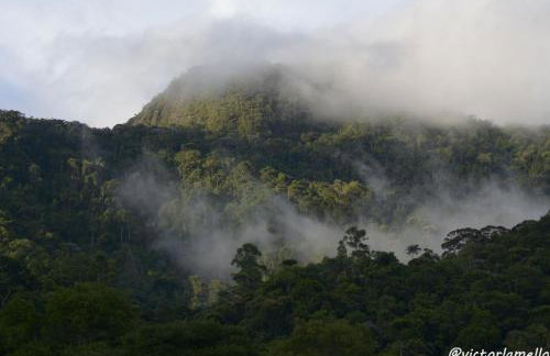 A Casinha Lumiar - Foto 59