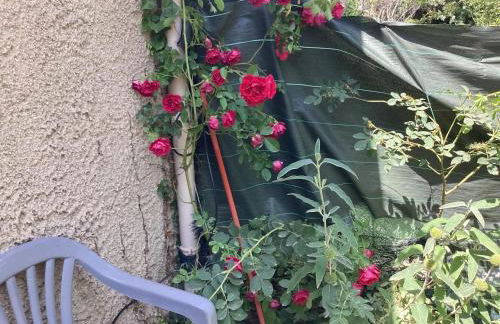 Maison de charme à Vachères avec jardin et vue montagne - Foto 47