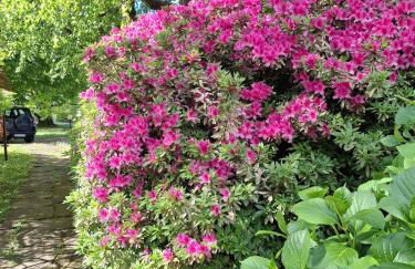 Rosen Garden Apartment - Foto 31