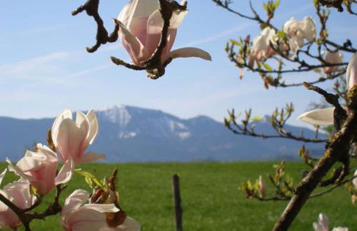 Gschwingerhof - Foto 11