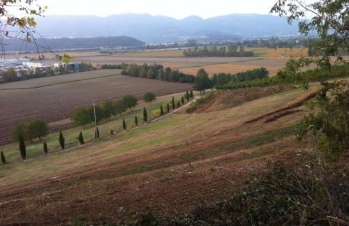 Corte Monticello - Foto 29