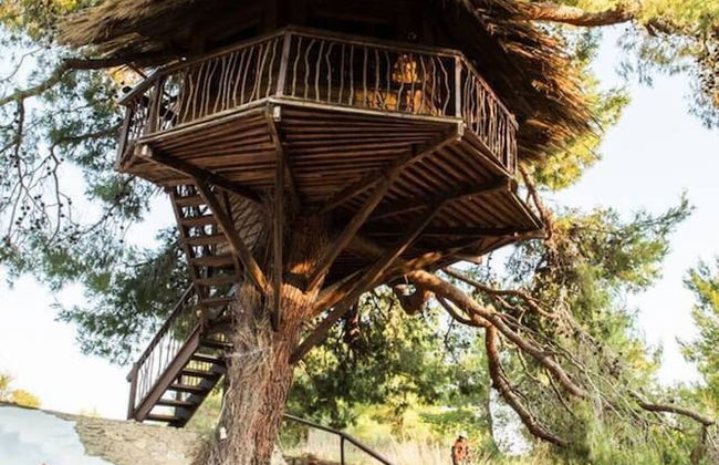 Stunning Treehouse 10 Mins From Sandy Beaches - Foto 11