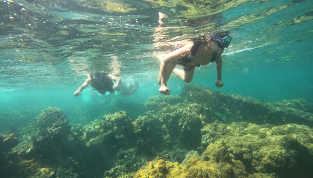 Snorkel en Barú - Foto 2, Dos jóvenes nadando con las gafas y el tubo de snorkel en Barú