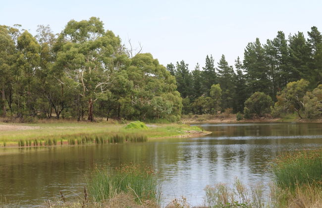 Pavilions at Lenswood - Foto 31