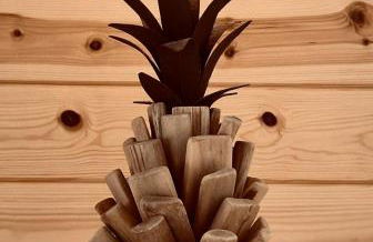 Agrotur Fenix - Foto 10