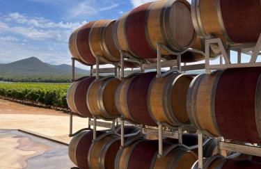 Mia Margot Suite Apartment - Foto 23