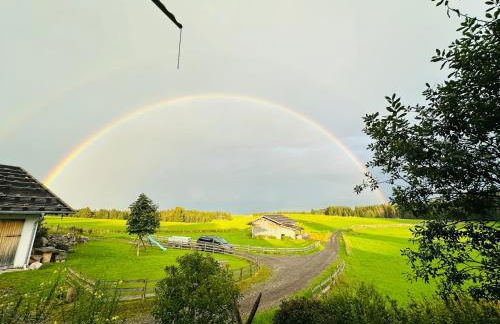 Langegger Alm - Almhütte - Foto 9