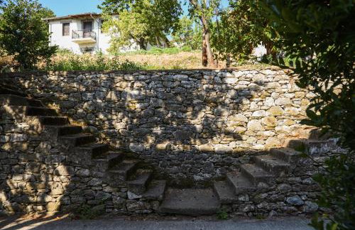 Kissos Experience - Foto 63