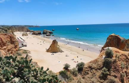 EstrelasDourada ALVOR Limoeiro - Foto 50