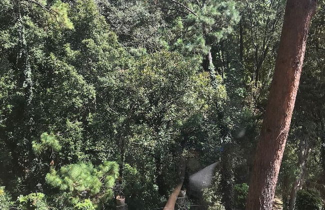 Pet Friendly Casa Studio in the Woods - Foto 13