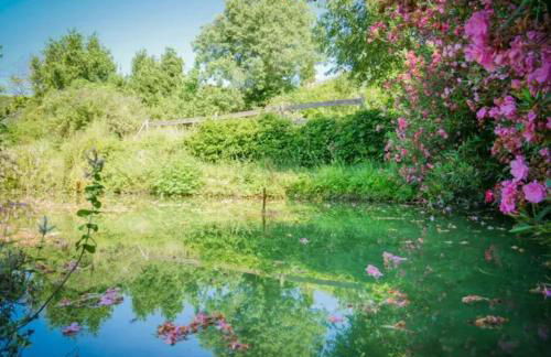 Appartement charmant à Pignans - 46 m² avec jacuzzi - Foto 13