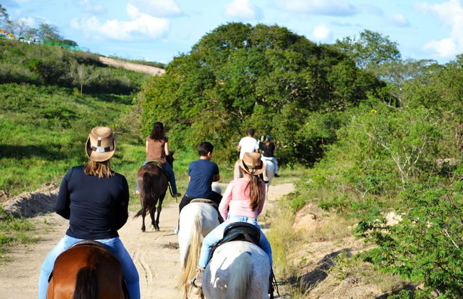 Fazenda Monte Castelo - Foto 14