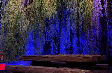 A historic Pub with a modern twist - The Greyhound - Foto 65