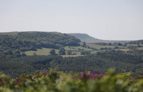 The Old Post Office - Photo 29