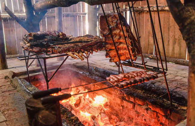 Tour en jardineira por Linha Ávila - Foto 9