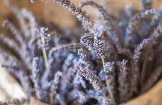 Le Refuge Provençal Nijonyas - Foto 26