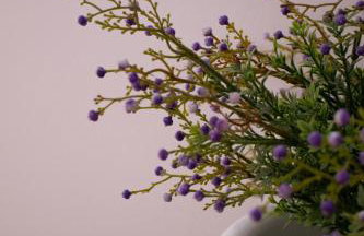 Quinta Anna Horvath - Foto 47