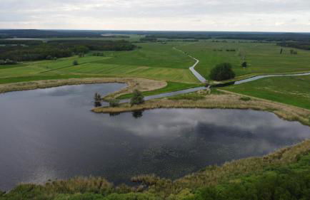 Finnhütten Waldesruh - Foto 40