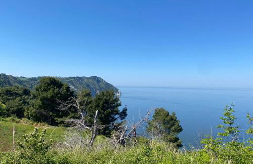 Il Belvedere sul Conero - Foto 35