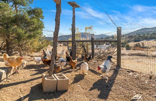 Mountain Farm Stay, Alpacas and Views, Royal Gorge 15min - Foto 62