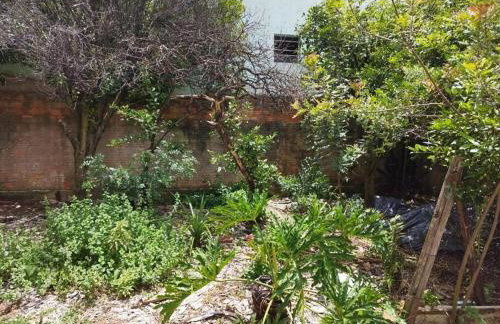 Casa central 349 - Foto 24