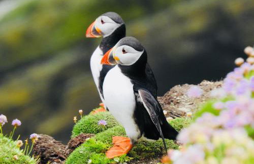 Quoys Self Catering - Foto 43