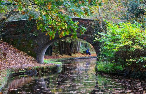 Woodland, Canal & Lakeside Cottage - Foto 23