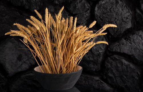 Nostos Apartments - Foto 73