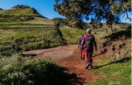 GRAN CANARIA LA FINCA DE CARMELITA Y BARTOLITO - Foto 27