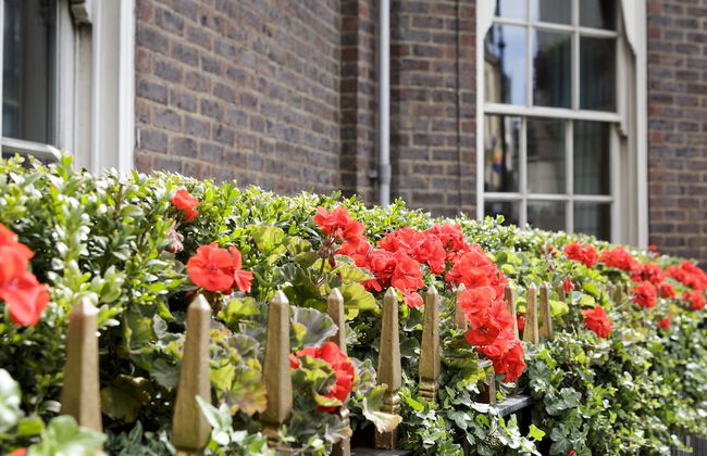 44 Curzon Street Apartments by Mansley - Foto 35