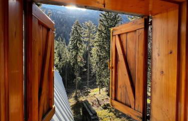 ~Chalet_Rifugio tra i boschi~ - Foto 11