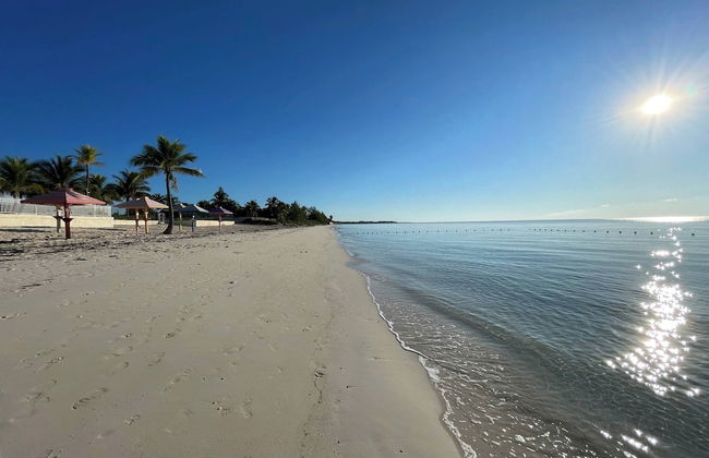 NEW Stunning Beachfront Condo at the Coral Beach - Foto 46