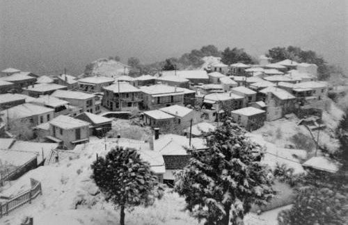 LAFION HOUSE - Foto 12