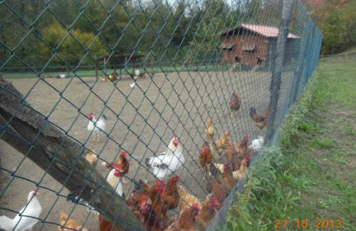 Agriturismo Cascina Tollu - Foto 37