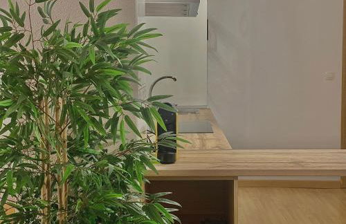 Cómodo apartamento a un paso del centro de Salamanca La Posada Charra 8 APART-37-278 - Foto 16